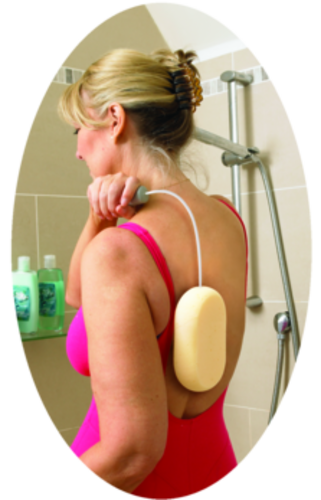 Eponge à long manche