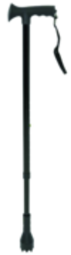 Canne tout-terrain Land